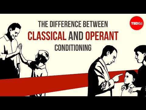 The difference between classical and operant conditioning – Peggy Andover
